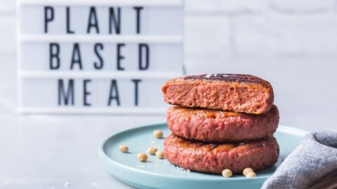 plant based Meat brands